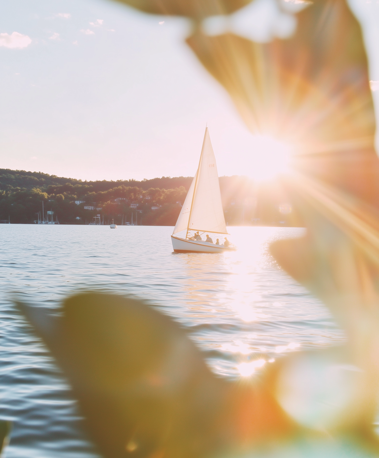 Voilier au coucher du soleil